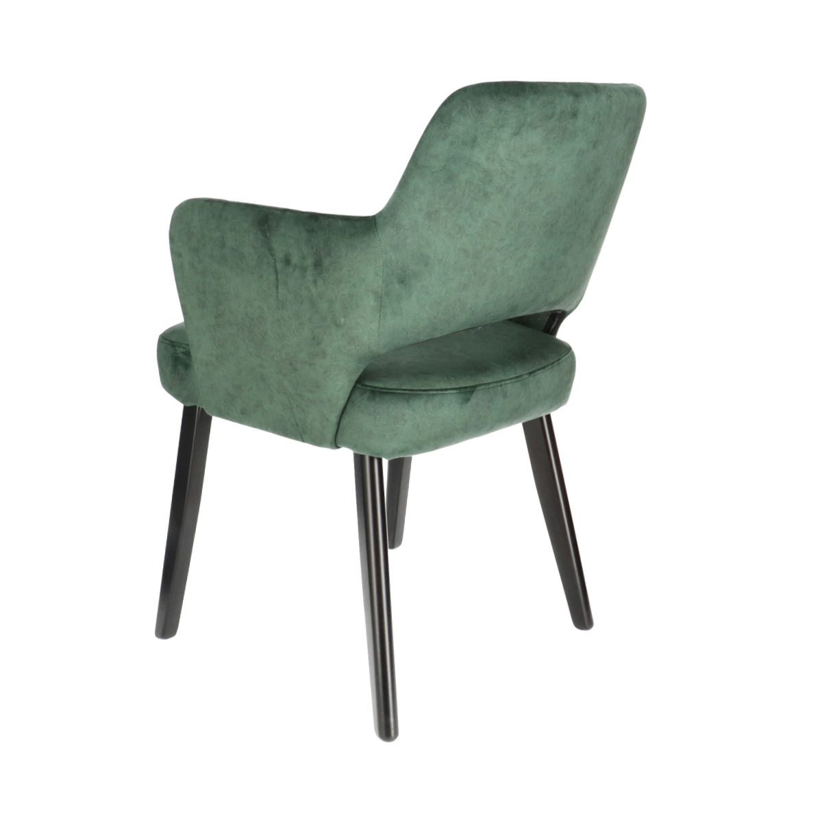 DN AMIGO P Green classic Upholstered indoor chair